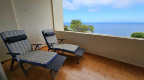 Tenerife Lizards - apartment in the first line